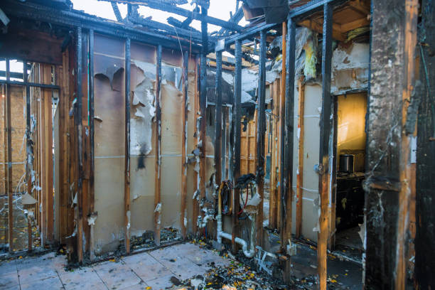 Professional Fire Damage Repair technician working in New Pekin, IN